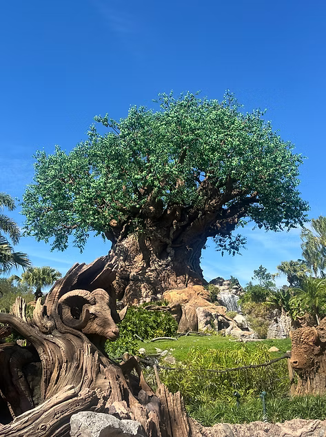 Animal Kingdom